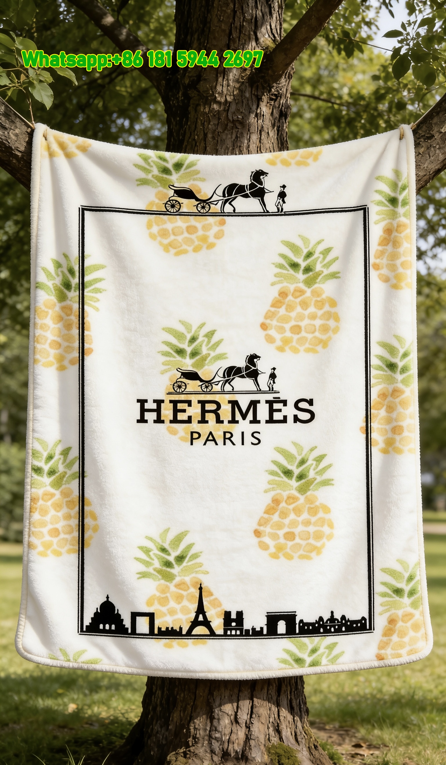 Hermès Pineapple & Paris Skyline Flannel Fleece Throw Blanket IMG_4996